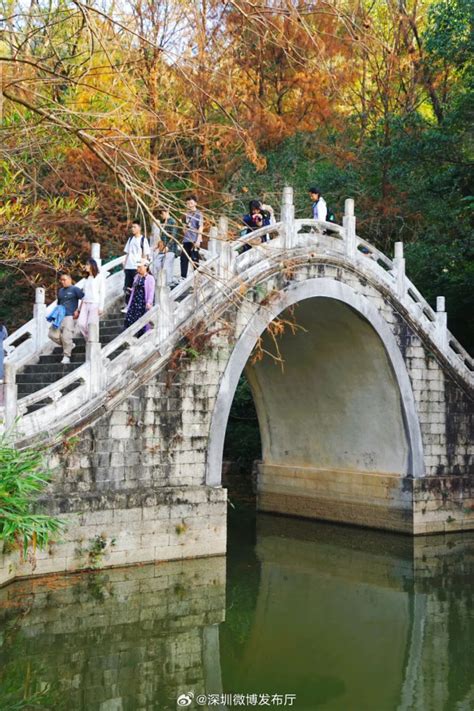 深圳蓮塘地鐵|深圳地鐵2號線｜蓮塘站直去逾12大沿線景點遊玩美食推介 蓮花山 